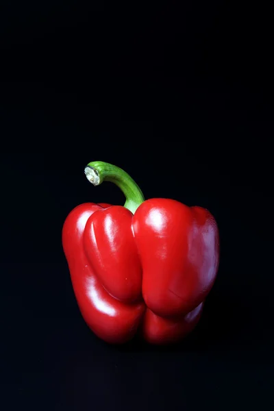 Still life of a red pepper — Stock Photo, Image