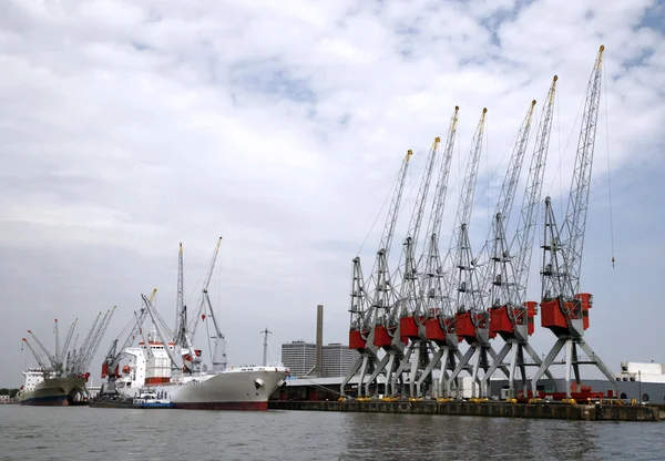 Krane und Frachtschiffe im Hafen von Rotterdam — Stockfoto