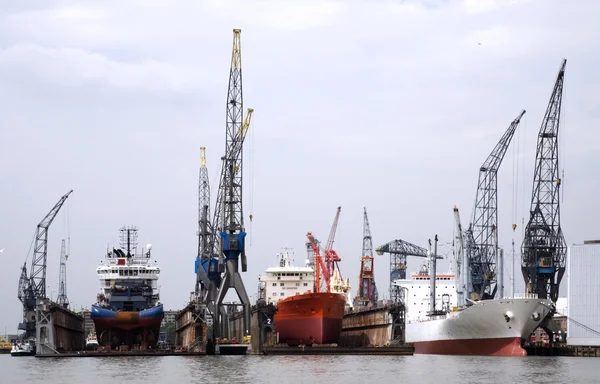 Flydende dok, Rotterdam, Holland - Stock-foto