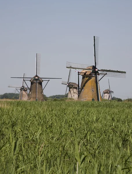 荷兰的风车在荷兰风车村， — 图库照片