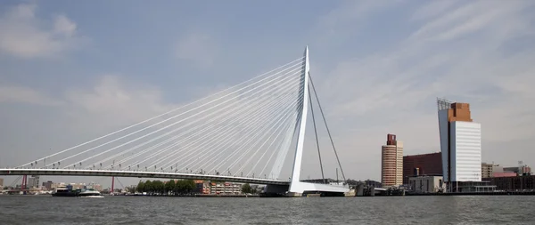 Erasmus bridge, Rotterdam, Holland — Stock Photo, Image