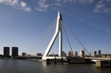 erasmus bridge Rotterdam, Hollanda