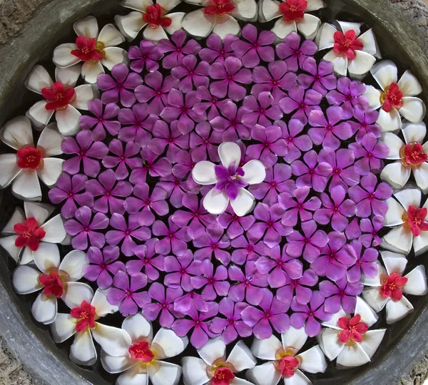 Balinese flower arrangement — Stock Photo, Image