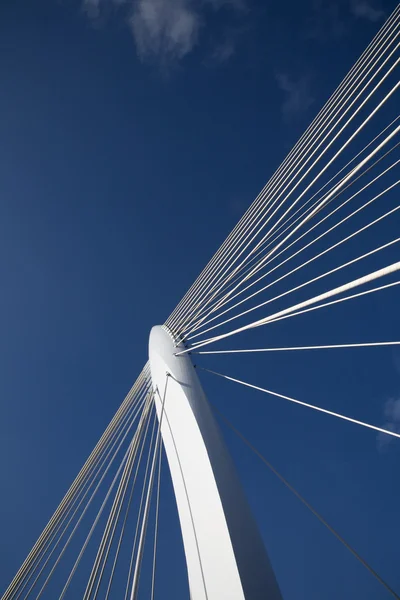 "Мост Принса Клауса, Утрехт, Голландия — стоковое фото