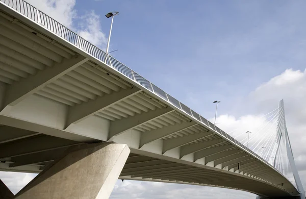 Ponte Erasmus, Roterdão, Holanda — Fotografia de Stock