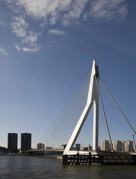 Мост Эразмус в Роттердаме, Голландия — стоковое фото