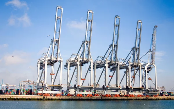 Żurawie portowe w porcie w Rotterdamie — Zdjęcie stockowe