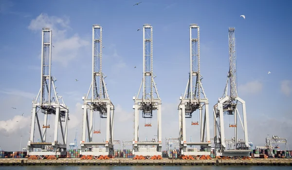 Harbor kranar på Rotterdams hamn — Stockfoto