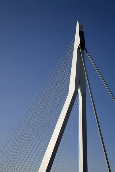 El puente Erasmus en Rotterdam, Holanda — Foto de Stock