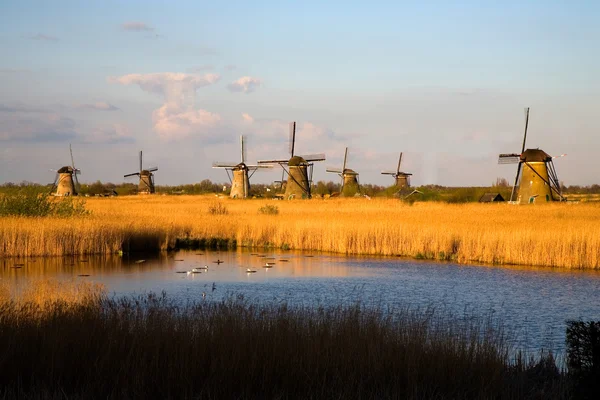 Molinos de viento holandeses en Kinderdijk, Holanda — Foto de Stock