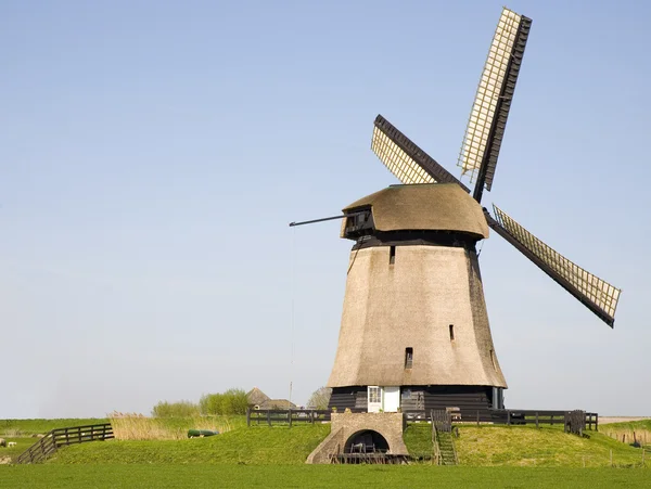 Historische holländische Windmühle — Stockfoto