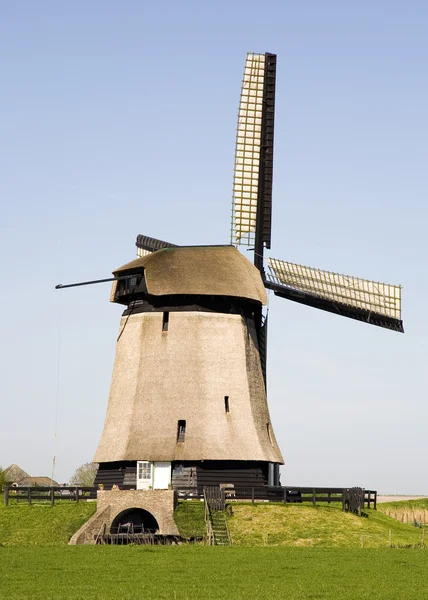 Historische holländische Windmühle — Stockfoto