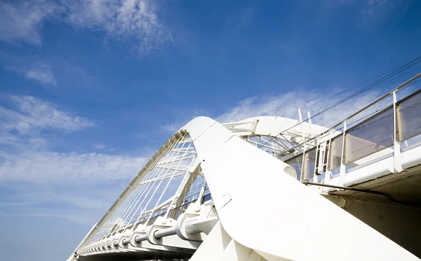 The Enneus Heermabridge in Amsterdam, Holland — Stock Photo, Image