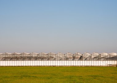 Açık mavi gökyüzü altında sera ve su tankı