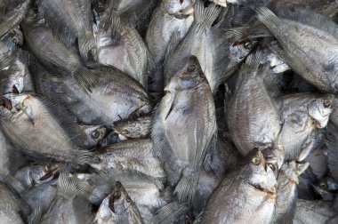 taze balık, mekong delta, vietanm bir piyasa ahır