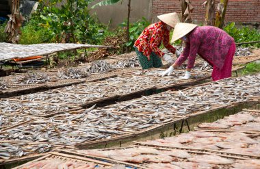 Güneşte kurutma balık