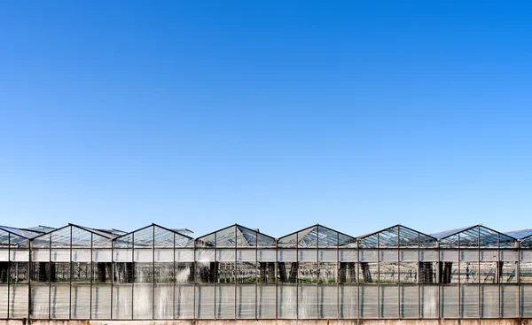 Techo de un invernadero bajo un cielo azul claro — Foto de Stock