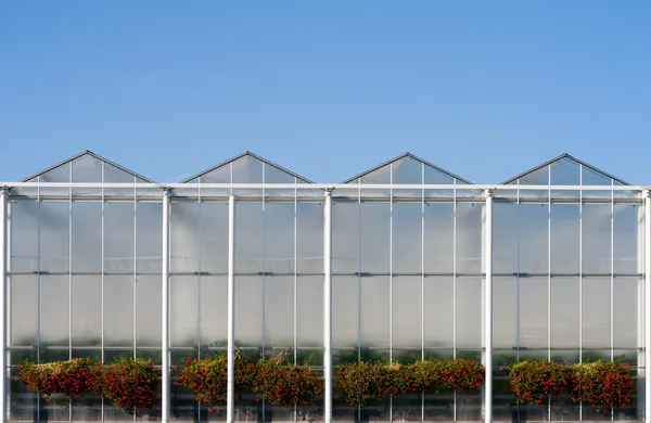 Roof of a greenhouse and water tank under a clear blue sky — Stock Photo, Image