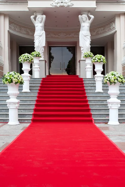 Kırmızı CARPET