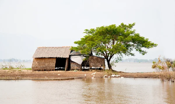 上湄公河三角洲，越南农村间木屋 — 图库照片