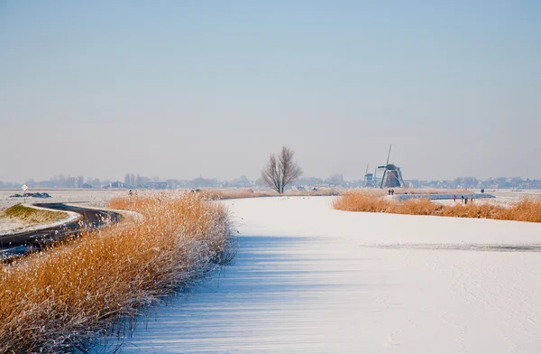 冬季风景与荷兰的历史性风车在等地，荷兰 — 图库照片