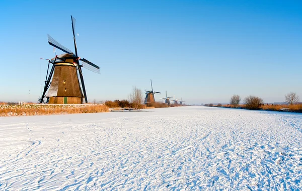 Holland történelmi szélmalmok a Kinderdijk — Stock Fotó