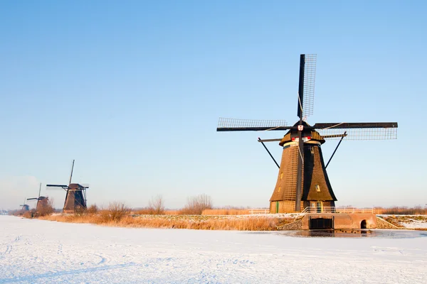 Holland történelmi szélmalmok a Kinderdijk — Stock Fotó