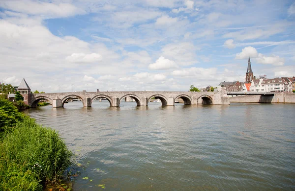 St. servaas brugcables de puente — Stockfoto