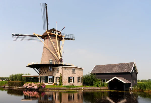 Nederlandse molen — Stockfoto
