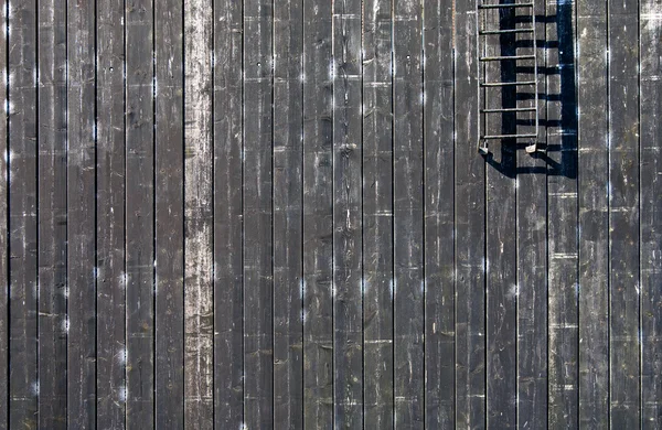 Wooden wall to protect the island Schokland — Stock Photo, Image