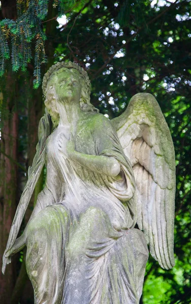 Tomba a Melaten Friedhof — Foto Stock