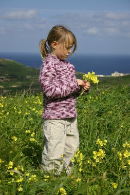 Gozo bahar