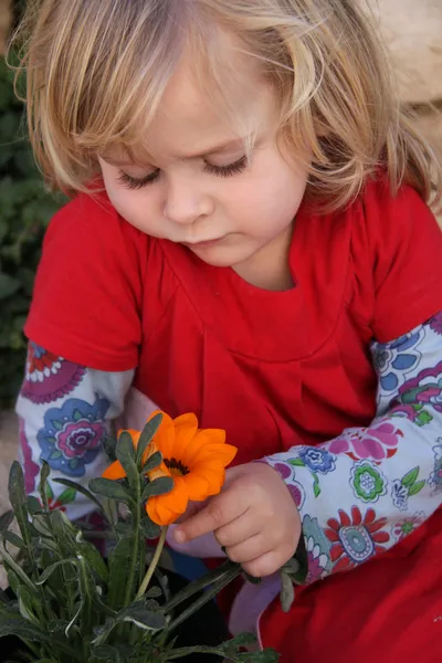 Småbarn med orange daisy — Stockfoto