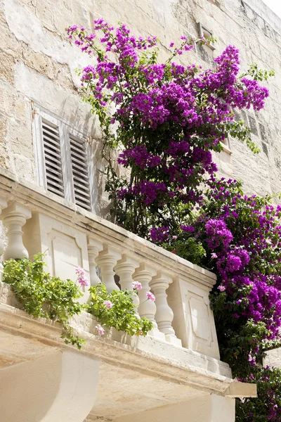 eski taş balkon çiçekleri ile