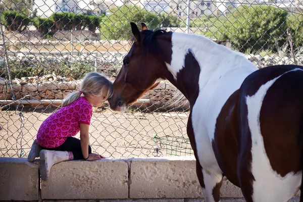 Niño y caballo — Foto de Stock