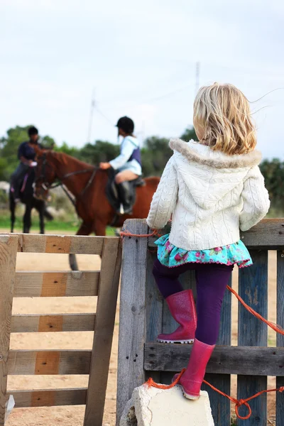 Девушка смотрит уроки верховой езды — стоковое фото