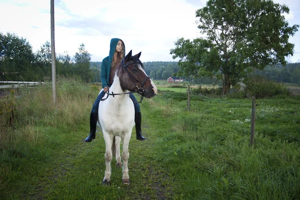 Chica a pelo en icelandic caballo — Foto de Stock