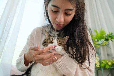 Evde kedisiyle birlikte çalışan genç Asyalı kadın..