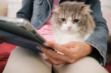 Evde kedisiyle birlikte çalışan genç Asyalı kadın..