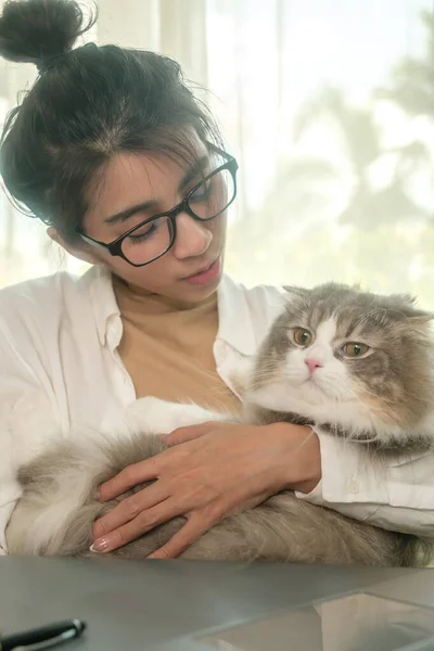 Fiatal Ázsiai Dolgozik Otthonról Macskájával Otthon — Stock Fotó