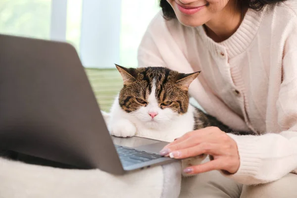 Ung Asiatisk Kvinne Som Jobber Hjemmefra Med Katten Hjemme – stockfoto