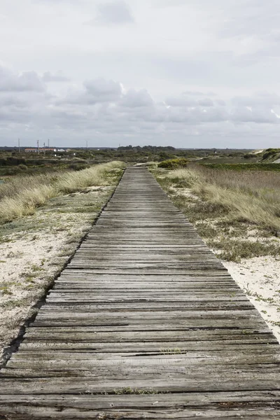 Wanderweg — Stockfoto