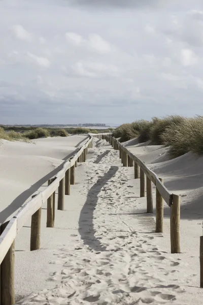 kum kurulu yürüyüş