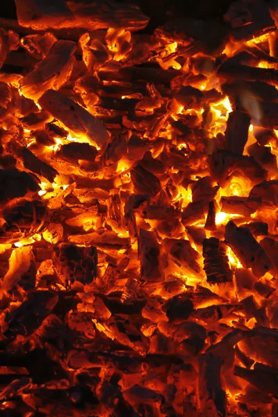 Carbone di legna in fiamme Fotografia Stock