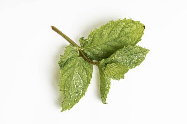 Bitkiler yemek için ot.