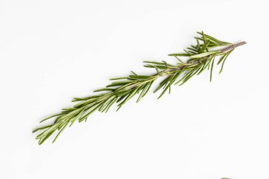 Bitkiler yemek için ot.