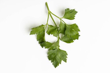 Bitkiler yemek için ot.