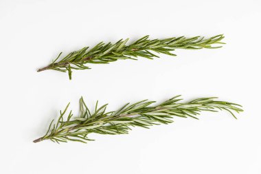 Bitkiler yemek için ot.