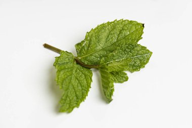 Bitkiler yemek için ot.