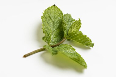 Bitkiler yemek için ot.